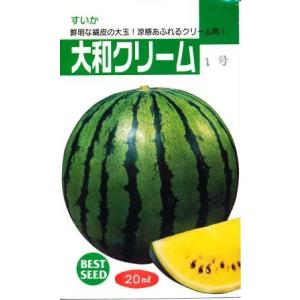 大和クリーム一号 20ml スイカ すいか 西瓜【神田育種農場 種 たね タネ 】【通常5倍 5のつ...