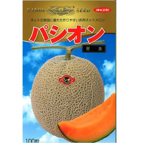 パシオン早春晩秋系 100粒 メロン めろん 【神田育種農場 種 たね タネ 】【通常5倍 5のつく...