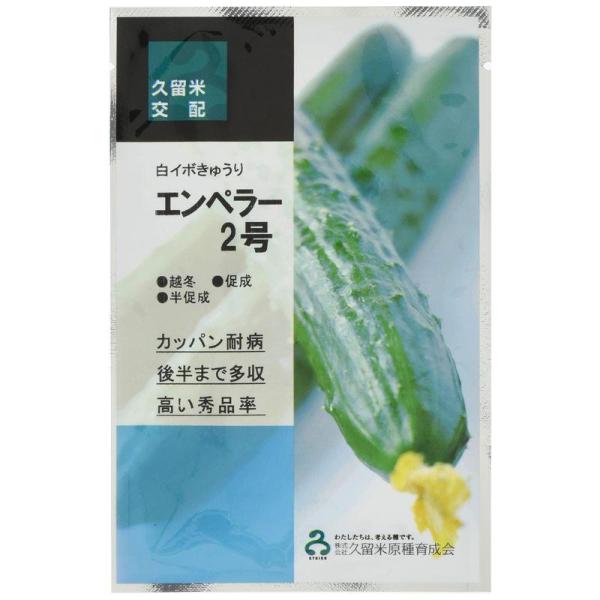 エンペラー2号 100粒 胡瓜 キュウリ きゅうり【久留米原種育成会 種 たね タネ】【通常5倍 5...