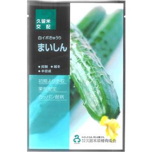 まいしん 100粒 胡瓜 キュウリ きゅうり【久留米原種育成会 種 たね タネ】【通常5倍 5のつく...
