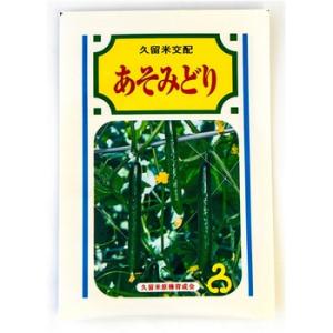 あそみどり 350粒 胡瓜 キュウリ きゅうり【久留米原種育成会 種 たね タネ】【通常5倍 5のつ...