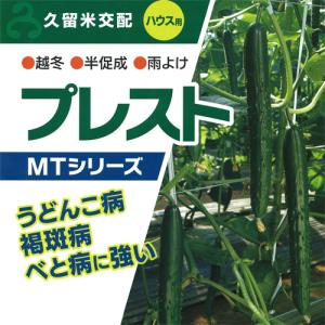 おはよう ブロッコリー種子 5000粒 【野菜種子】 【サカタのタネ