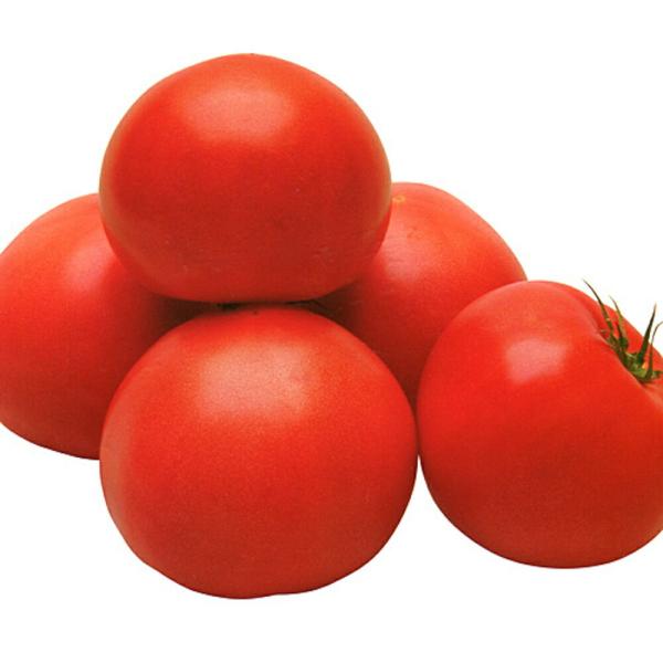 TY秀福 ベレット1000粒 トマト とまと 蕃茄【カネコ種苗 種 たね タネ 】【通常5倍 5のつ...