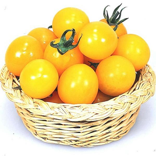 イエローミミ ベレット600粒 トマト とまと 蕃茄【カネコ種苗 種 たね タネ 】【通常5倍 5の...