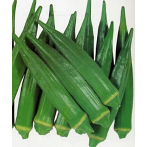 ガリバー 1L オクラ おくら【カネコ種苗 種 たね タネ 】【通常5倍 5のつく日はポイント10倍...