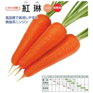 [値下]ニンジン　種　ローラ　１万粒　５袋 ローラ ペレット 1万粒 ニンジン にんじん 人参【ヴィルモランみかど