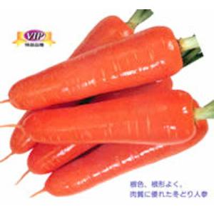 冬ちあき L1万粒 ニンジン にんじん 人参【タキイ 種 たね タネ