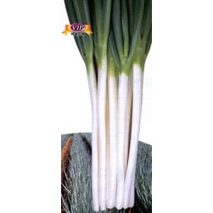 ネギさん専用 楽天市場】BVLGARI ブルガリ 287262 ブルガリ・ブルガリ