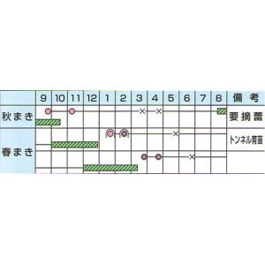 ぬくもり ペレット5000粒 葱 ネギ ねぎ【...の詳細画像1