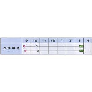 浜笑 PVP 20ml 玉ねぎ たまねぎ 玉葱...の詳細画像1