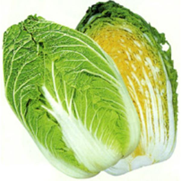 黄望峰80 20ml 白菜 ハクサイ はくさい【カネコ種苗 種 たね タネ 】【通常5倍 5のつく日...