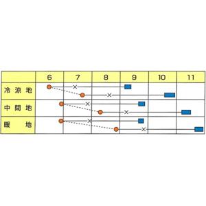 スーパードーム ペレット5000粒 ブロッコリ...の詳細画像1