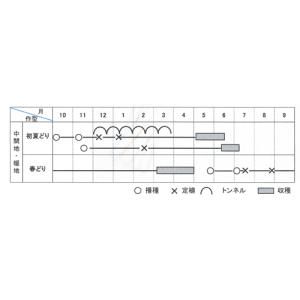 白翠(KAA-001)ペレット2L 6000粒...の詳細画像1