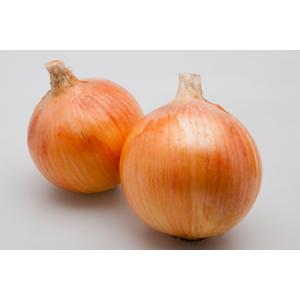 玉ねぎ苗⭕️浜笑４００本⭕️OK４００本⭕️赤玉２００本⭕️ 玉ねぎ苗⭕️浜笑400本⭕️OK400本⭕️赤玉200本⭕️ 玉ねぎ