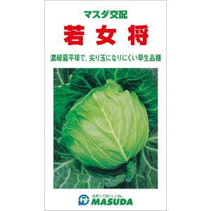 若女将甘藍 コート(5000粒) キャベツ 甘藍...の商品画像