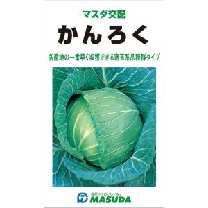 かんろく甘藍 3000粒 キャベツ 甘藍 かんらん カンラン【増田採種場 種 たね タネ】【通常5倍...