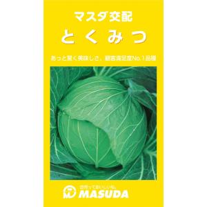 とくみつ甘藍 コート(5000粒) キャベツ 甘藍 かんらん カンラン【増田採種場 種 たね タネ】...