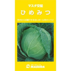 ひめみつ甘藍 コート(5000粒) キャベツ 甘藍 かんらん カンラン【増田採種場 種 たね タネ】...