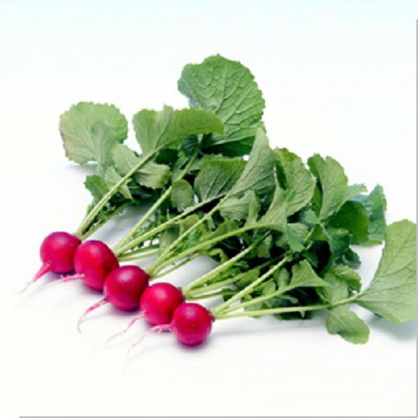 ポピールージュ 8000粒 ラディッシュ らでぃっしゅ【ヴィルモランみかど 種 たね タネ】【通常5...