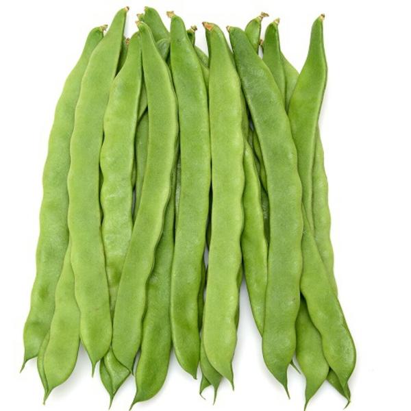 ニュービックリジャンボ菜豆 2000粒 鞘隠元 サヤインゲン さやいんげん【ヴィルモランみかど 種 ...