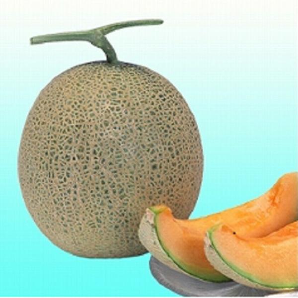 ルピアレッド 100粒 めろん メロン 舐瓜【ヴィルモランみかど 種 たね タネ】【通常5倍 5のつ...