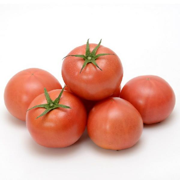 TYみそら109 1000粒 トマト とまと 蕃茄【ヴィルモランみかど 種 たね タネ】【通常5倍 ...