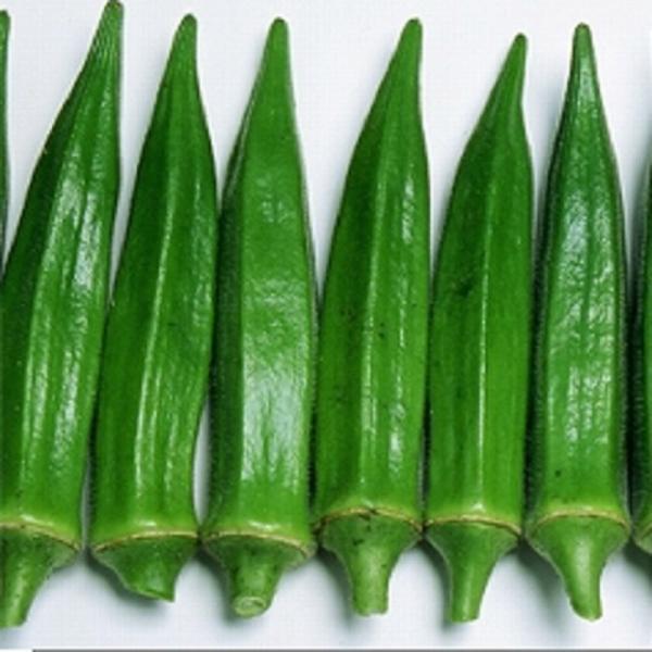 ブルースカイZオクラ 1dl オクラ おくら 【ヴィルモランみかど 種 たね タネ】【通常5倍 5の...