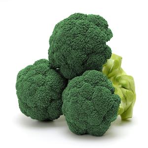 rii！ブロッコリー（おはよう）種子3個セット rii様専用！ブロッコリー