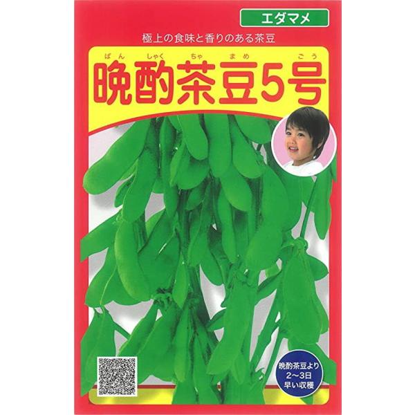 晩酌茶豆5号枝豆 1L 枝豆 武蔵野種苗 種 たね 【通常5倍 5のつく日はポイント10倍】 えだま...