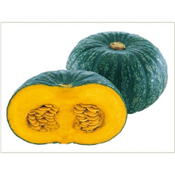 くりりん 200粒 南瓜 カボチャ かぼちゃ 武蔵野交配【武蔵野種苗 種 たね タネ 】【通常5倍 ...