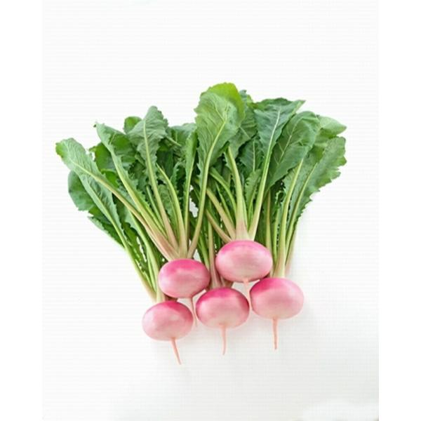 桃寿(ピンクカブ) 10ml かぶ カブ 蕪 武蔵野交配【武蔵野種苗 種 たね タネ 】【通常5倍 ...