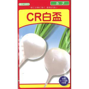 タキイ種苗 レタス ヒートガイ ペレット5000粒 : 種苗・園芸ショップ