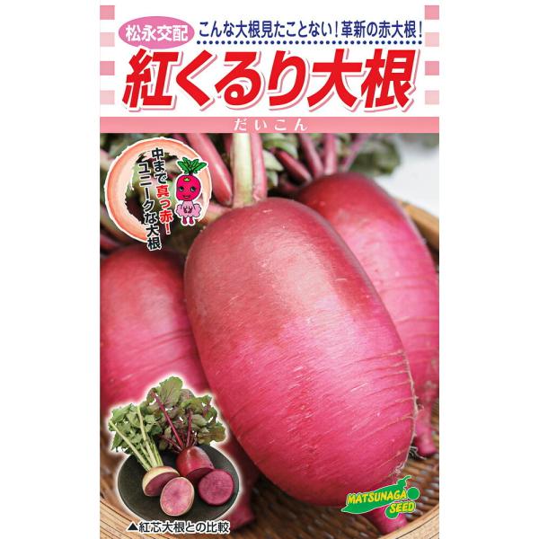 紅くるり大根 20ml詰 大根 ダイコン だいこん 松永交配 【松永種苗 種 たね タネ】【通常5倍...