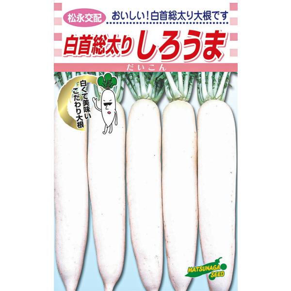 白首総太りしろうま 2dl詰 大根 ダイコン だいこん 松永交配 【松永種苗 種 たね タネ】【通常...