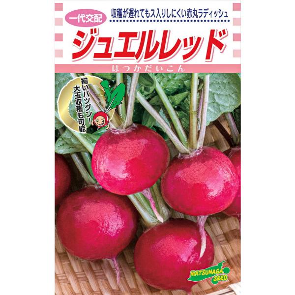 廿日大根 ジュエルレッド　2dl詰 大根 ダイコン だいこん 一代交配　【松永種苗 種 たね タネ】...