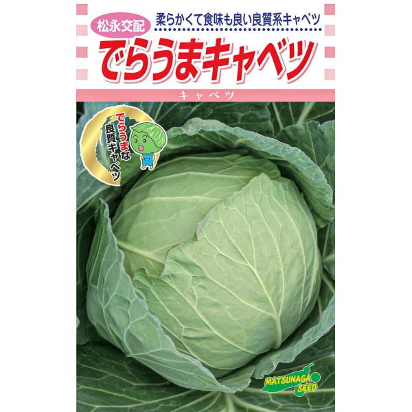 でらうま 20ml詰 キャベツ 松永交配 【松永種苗 種 たね タネ】【通常5倍 5のつく日はポイン...