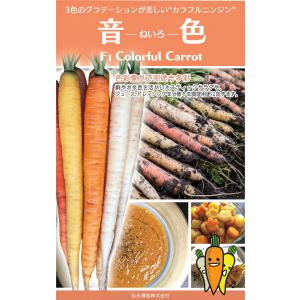 タキイ種苗 レタス ヒートガイ ペレット5000粒 : 種苗・園芸ショップ