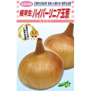 超極早生タマネギ 種 『浜笑』 カネコ種苗/ペレット5000粒 : 種兵