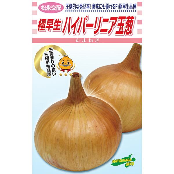 極早生 ハイパーリニア 20ml詰  玉ねぎ たまねぎ 玉葱 タマネギ 松永交配 【松永種苗 種 た...
