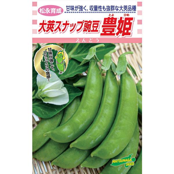 松永育成　 大英スナップえんどう　豊姫　1L詰 さやえんどう サヤエンドウ 莢豌豆【松永種苗 種 た...
