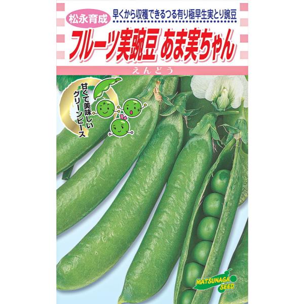 松永育成　フルーツ実豌豆　あま実ちゃん　1L詰 さやえんどう サヤエンドウ 莢豌豆【松永種苗 種 た...