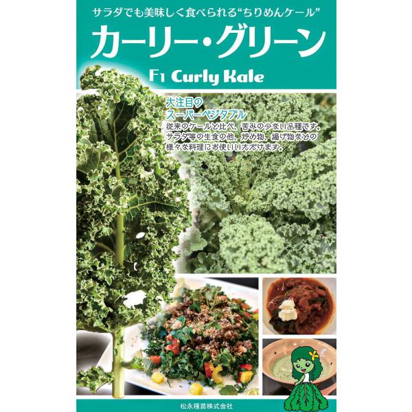 f1・ちりめんケール　　カーリー・グリーン　生種2500粒 ケール けーる【松永種苗 種 たね タネ...
