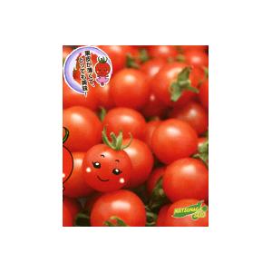 まゆか ミニトマト 100粒 松永交配 【松永種苗 種 たね タネ】【通常5倍 5のつく日はポイント...