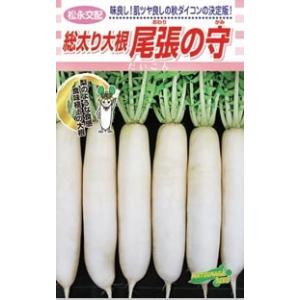 ダイコンの種 耐病総太り コート5千粒（3L） : 菜園くらぶ Yahoo!店