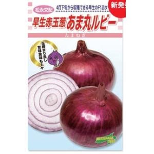 ネギ種子】ダイヤ交配（トキタ種苗）「大地の響き（だいちのひびき