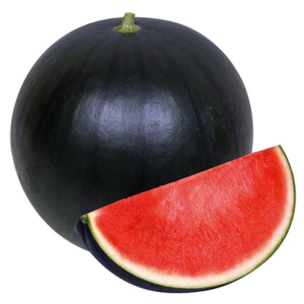 ほお晴れBB 100粒詰 スイカ すいか 西瓜 宇治交配  【丸種 種 たね タネ】【通常5倍 5の...