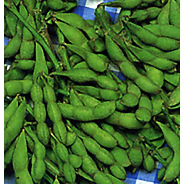 緑豊(りょくほう) 1L詰 枝豆 えだまめ エダマメ【丸種 種 たね タネ】【【通常5倍 5のつく日...