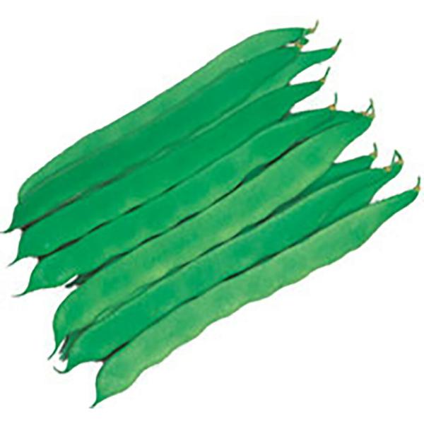 大平莢ナルデ 1l詰 豆 マメ まめ【丸種 種 たね タネ】【【通常5倍 5のつく日はポイント10倍...