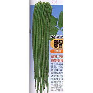 那智の滝 1dl詰 鞘隠元 サヤインゲン さやいんげん【丸種 種 たね タネ】【【通常5倍 5のつく...