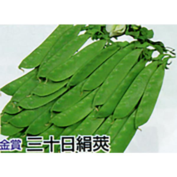 金賞 三十日絹莢 1L詰 さやえんどう サヤエンドウ 莢豌豆【丸種 種 たね タネ】【【通常5倍 5...